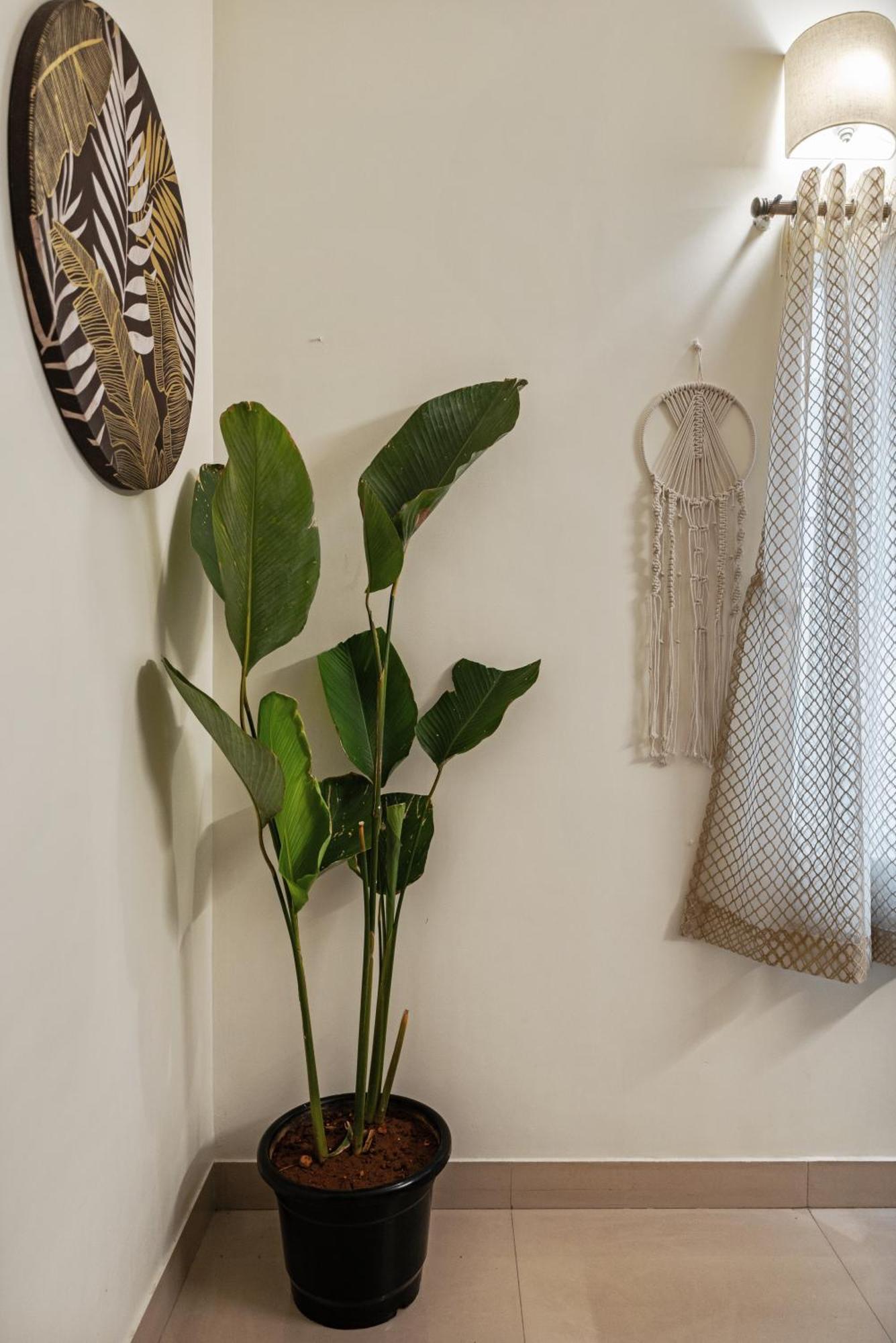 House Of 2 Tress Penthouse Villa Bangalore Bagian luar foto